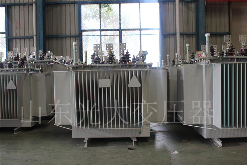 海淀S20-500KVA/10KV
